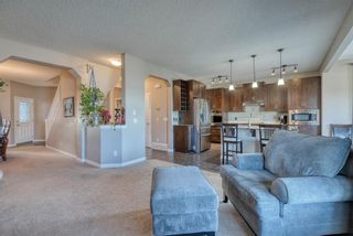 Photo 14: 27 SKYVIEW SPRINGS Cove NE in Calgary: Skyview Ranch Detached for sale : MLS®# A1053175