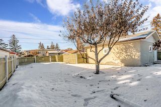 Photo 16: 1523 47 Street SE in Calgary: Forest Lawn Detached for sale : MLS®# A2020953