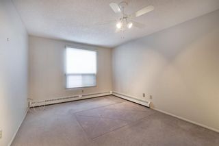 Photo 16: 313 9800 Horton Road SW in Calgary: Haysboro Apartment for sale : MLS®# A2006085