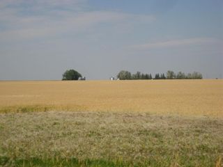 Photo 3: SE 20 30 1 W5 Highway 2A: Carstairs Residential Land for sale : MLS®# A1067588