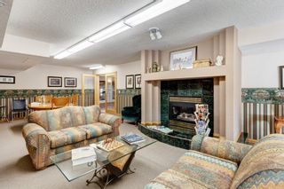Photo 25: 127 8535 Bonaventure Drive SE in Calgary: Acadia Apartment for sale : MLS®# A2019562