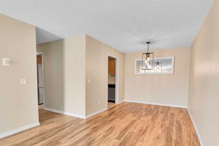 Photo 9: 505 1919 17 Avenue SW in Calgary: Bankview Apartment for sale : MLS®# A2124129