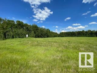 Photo 5: 14 281029 616 Highway: Rural Wetaskiwin County Rural Land/Vacant Lot for sale : MLS®# E4301317
