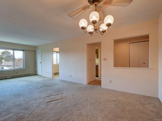 Photo 6: 305 2286 W Henry Ave in Sidney: Si Sidney South-West Condo for sale : MLS®# 867643