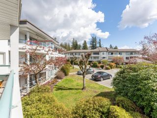 Photo 26: 247 2451 GLADWIN Road in Abbotsford: Abbotsford West Condo for sale in "Centennial Court - The Oaks" : MLS®# R2869948