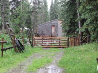 Photo 43: 70041 Highway 591: Rural Clearwater County Detached for sale : MLS®# C4305359