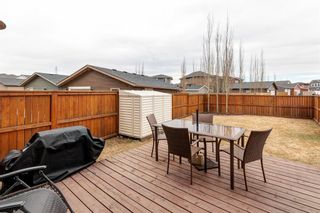 Photo 27: 185 Evansdale Way NW in Calgary: Evanston Detached for sale : MLS®# A2042834