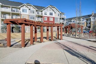 Photo 42: 2204 155 Skyview Ranch Way NE in Calgary: Skyview Ranch Apartment for sale : MLS®# A1177548