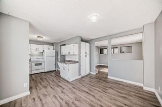 Photo 16: 111 Pinemill Mews NE in Calgary: Pineridge Detached for sale : MLS®# A2115447