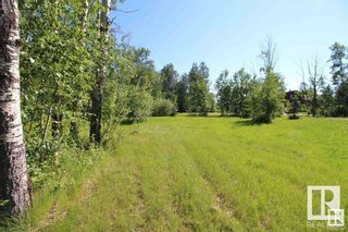 Photo 4: 568 Beach Road: Rural Wetaskiwin County Vacant Lot/Land for sale : MLS®# E4333539