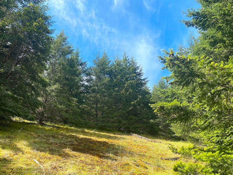 FEATURED LISTING: Lot 11 DISTRICT LOT 71 AND 77 Galiano Island