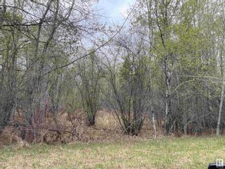 Photo 11: Secondary 663 Caslan: Rural Athabasca County Vacant Lot/Land for sale : MLS®# E4388276