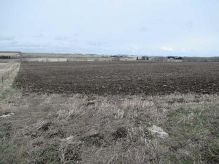 Photo 14: Range Road 25 Road: Rural Mountain View County Residential Land for sale : MLS®# A2127355