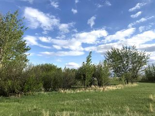 Photo 3: Range Road 264: Rural Wheatland County Residential Land for sale : MLS®# A2108486