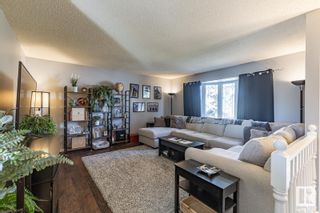 Photo 11: 8707 31 Avenue in Edmonton: Zone 29 House for sale : MLS®# E4380073