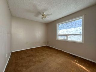 Photo 9: 4008 14 Avenue SE in Calgary: Forest Lawn Detached for sale : MLS®# A2126362