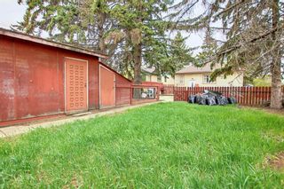 Photo 32: 1702 50 Street SE in Calgary: Forest Lawn Detached for sale : MLS®# A1253727