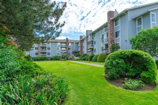 Photo 1: 337 5379 205 Street in Langley: Langley City Condo for sale in "Heritage Manor" : MLS®# R2708183