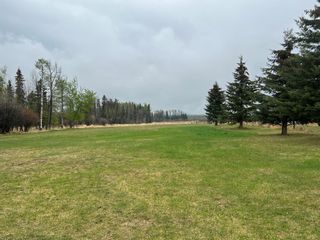Photo 25: 63080A HWY11: Rural Clearwater County Detached for sale : MLS®# A2047810