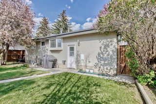 Photo 5: 1027 34 Street SE in Calgary: Albert Park/Radisson Heights Detached for sale : MLS®# A2050547