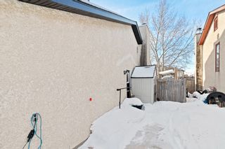 Photo 42: 14 Whittington Road in Winnipeg: Harbour View South Residential for sale (3J)  : MLS®# 202304672