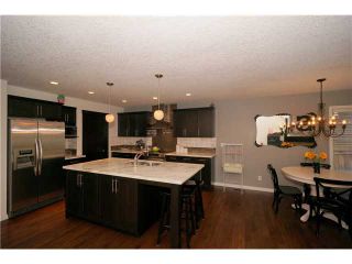 Photo 4: 27 JUMPING POUND Link: Cochrane Residential Detached Single Family for sale : MLS®# C3621672