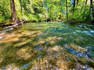 Photo 9: 4724 Dove Creek Rd in Courtenay: CV Courtenay West Land for sale (Comox Valley)  : MLS®# 909043