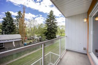 Photo 16: 202 4455C Greenview Drive NE in Calgary: Greenview Apartment for sale : MLS®# A1110677
