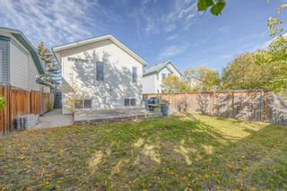 Photo 25: 54 Harvest Rose Place NE in Calgary: Harvest Hills Detached for sale : MLS®# A2081722