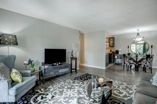Photo 3: 308 617 56 Avenue SW in Calgary: Windsor Park Apartment for sale : MLS®# A1134178