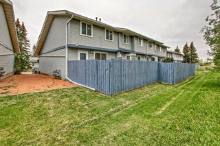 Photo 29: 41 Bermuda Lane NW in Calgary: Beddington Heights Row/Townhouse for sale : MLS®# A2046980