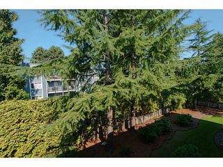 Photo 9: 306 1121 HOWIE Avenue in Coquitlam: Central Coquitlam Condo for sale in "The Willows" : MLS®# V1027721