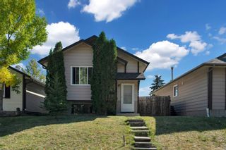 Photo 1: 106 Abalone Crescent NE in Calgary: Abbeydale Detached for sale : MLS®# A2003308