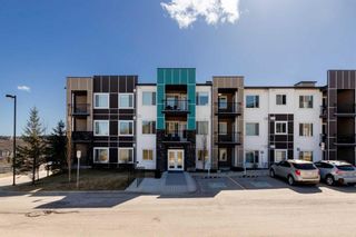 Photo 29: 104 8 Sage Hill Terrace NW in Calgary: Sage Hill Apartment for sale : MLS®# A2121454