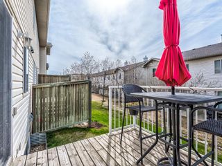 Photo 44: 158 Citadel Meadow Gardens NW in Calgary: Citadel Row/Townhouse for sale : MLS®# A1112669