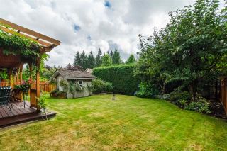 Photo 19: 20976 43A Avenue in Langley: Brookswood Langley House for sale in "Cedar Ridge" : MLS®# R2207293