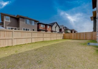 Photo 41: 60 Saddlelake Manor NE in Calgary: Saddle Ridge Detached for sale : MLS®# A1217915