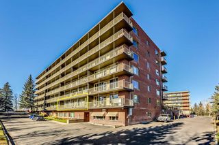 Photo 4: 207 3316 Rideau Place SW in Calgary: Rideau Park Apartment for sale : MLS®# A2090286