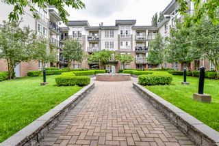 Photo 1: 308 5430 201 Street in Langley: Langley City Condo for sale in "Sonnet" : MLS®# R2297750