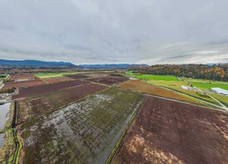 Photo 7: 8201 DYKE Road in Abbotsford: Bradner Agri-Business for sale : MLS®# C8055761