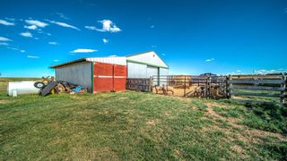 Photo 41: 255028 Township Road 240 Road: Rural Wheatland County Detached for sale : MLS®# A1236392
