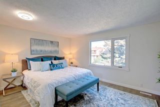 Photo 23: 332 Abinger Crescent NE in Calgary: Abbeydale Detached for sale : MLS®# A1258594