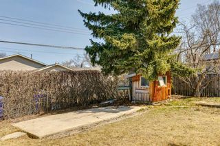 Photo 34: 5113 56 Avenue: Olds Detached for sale : MLS®# A2125002