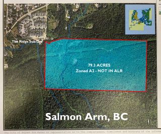Photo 3: 2550 Southwest 10 Street in Salmon Arm: Foothill SW Vacant Land for sale : MLS®# 10209597