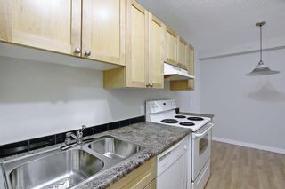 Photo 5: 504 1240 12 Avenue SW in Calgary: Beltline Apartment for sale : MLS®# A1093154