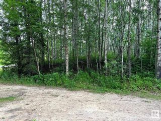 Photo 12: 2130 2001 Twp Rd 474: Rural Leduc County Vacant Lot/Land for sale : MLS®# E4393526