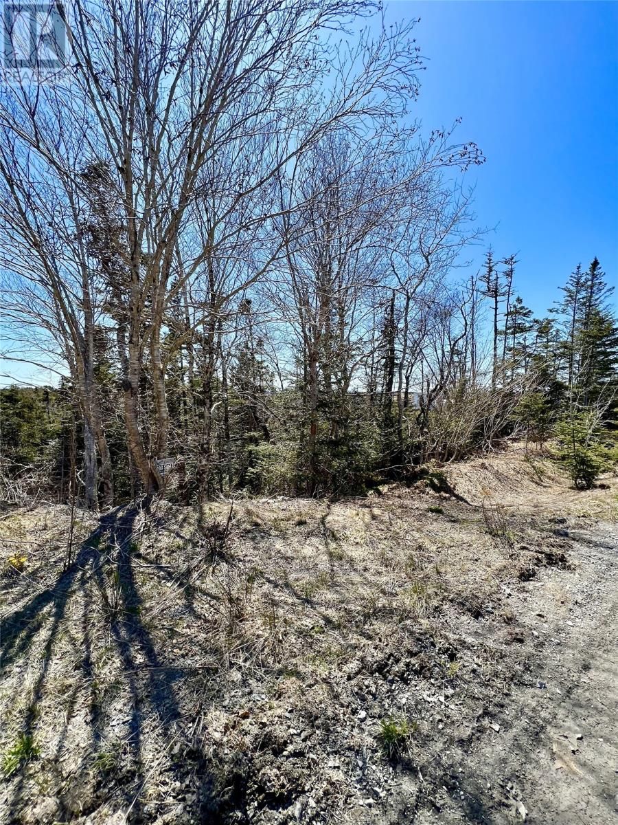 Main Photo: 26 Vokeys Road in Whitbourne: Vacant Land for sale : MLS®# 1258139