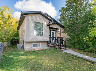 Photo 1: 695 Pritchard Avenue in Winnipeg: North End Residential for sale (4A)  : MLS®# 202326223