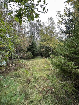 Photo 3: Lot 17 Ridgeview Drive in New Germany: Vacant Land for sale : MLS®# 202321567