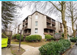 Photo 2: 403 385 GINGER Drive in New Westminster: Fraserview NW Condo for sale in "Fraser Mews" : MLS®# R2749432